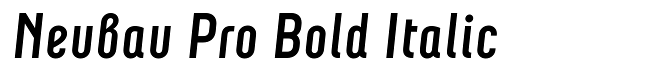 Neubau Pro Bold Italic